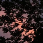 Amanda Arcuri Instagram – We all become silhouettes in time, with beauty and light left reminiscent. Nothing will be as it was, as it is, or how its said to be..