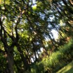 Amanda Arcuri Instagram – I can not wait to be in the sun again, walking through nature and witnessing purity.