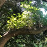 Amanda Arcuri Instagram – I can not wait to be in the sun again, walking through nature and witnessing purity.