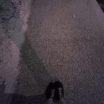 Amanda Arcuri Instagram - Fresh snow & quiet streets