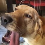 Amanda Keller Instagram – Friday….