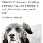 Amanda Keller Instagram - Words to live by….