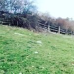 Amanda Lear Instagram - SPRINGTIME !!.🌺🌺🌷🌼
