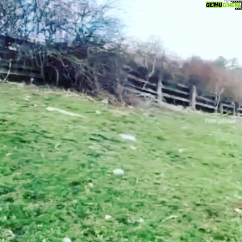 Amanda Lear Instagram - SPRINGTIME !!.πΊπΊπ·πΌ