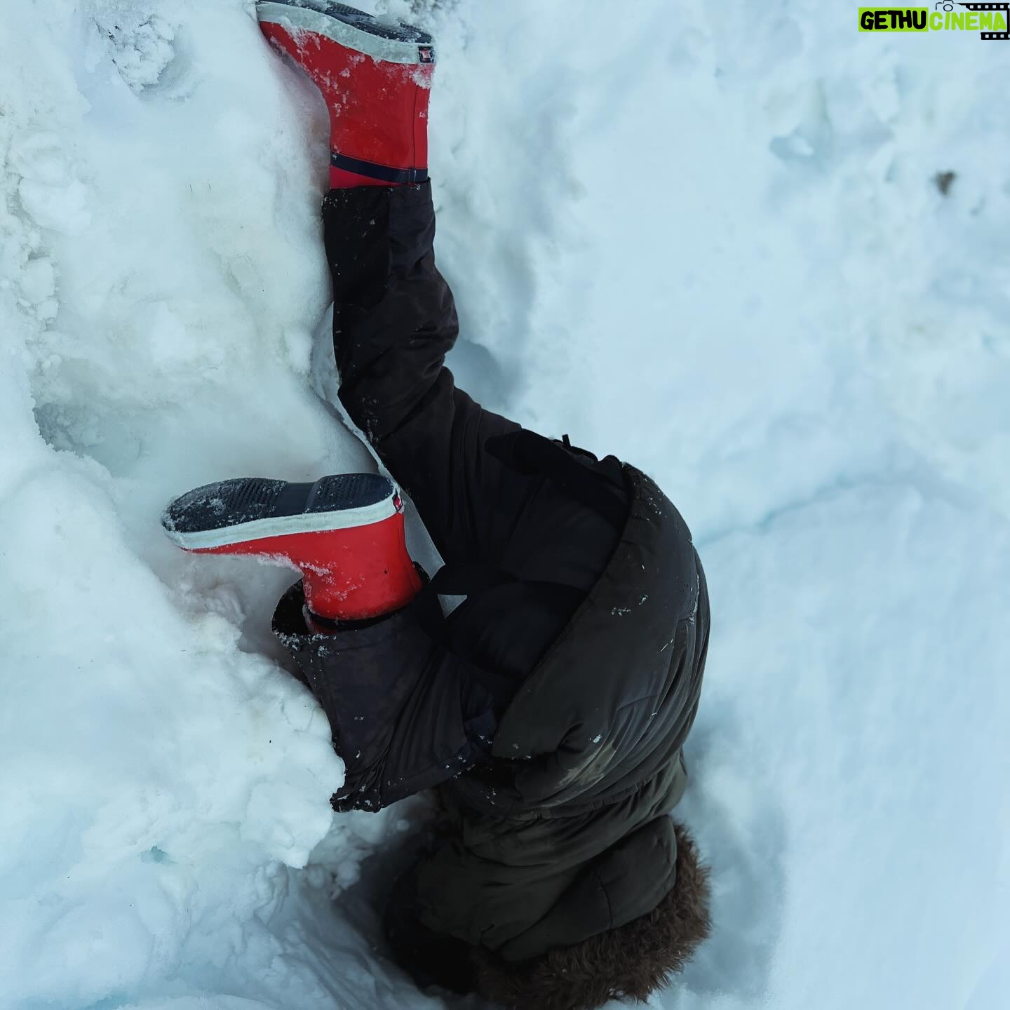 Amanda Owen Instagram - Dig those drifts. ❄️ #snow #yorkshire #winter #drift #children #play