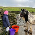 Amanda Owen Instagram - Been raining 🌧️ cats 🐈 & dogs 🐶. A whole week of rain, wind & plenty of mud. 💩 #yorkshire #weather #farm #raining