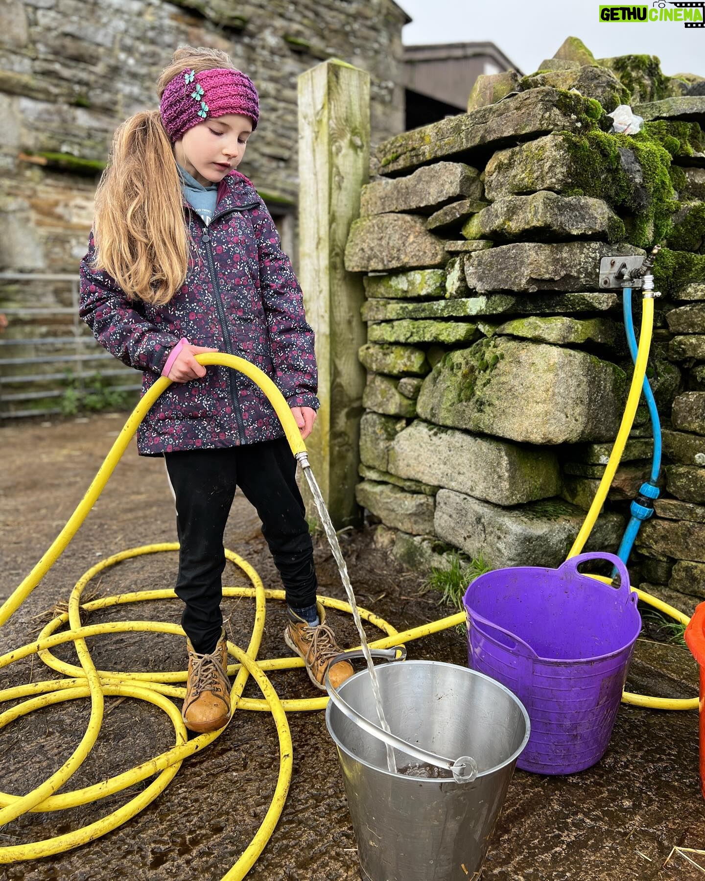 Amanda Owen - 21.6K Likes - Been raining π§οΈ cats π & dogs πΆ.
A whole week of rain, wind & plenty of mud. π©
#yorkshire #weather #farm #raining
