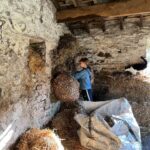 Amanda Owen Instagram - Been raining 🌧️ cats 🐈 & dogs 🐶. A whole week of rain, wind & plenty of mud. 💩 #yorkshire #weather #farm #raining