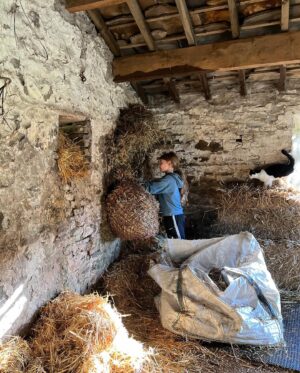 Amanda Owen Instagram - Been raining 🌧️ cats 🐈 & dogs 🐶.
A whole week of rain, wind & plenty of mud. 💩 
#yorkshire #weather #farm #raining