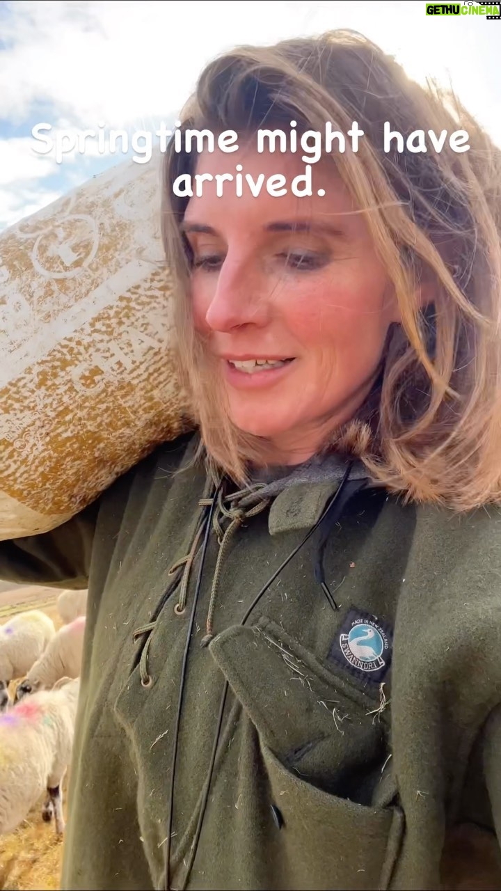 Amanda Owen Instagram - It’s not always easy to keep going with a spring in your step but today definitely felt warmer & brighter. ☀️ 🐦 🐦 #yorkshire #shepherdess #springtime #countryside #outdoors #nature #farm
