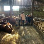 Amanda Owen Instagram – 👭👫Many hands.👭👫
#yorkshire #shepherdess #lambingtime
