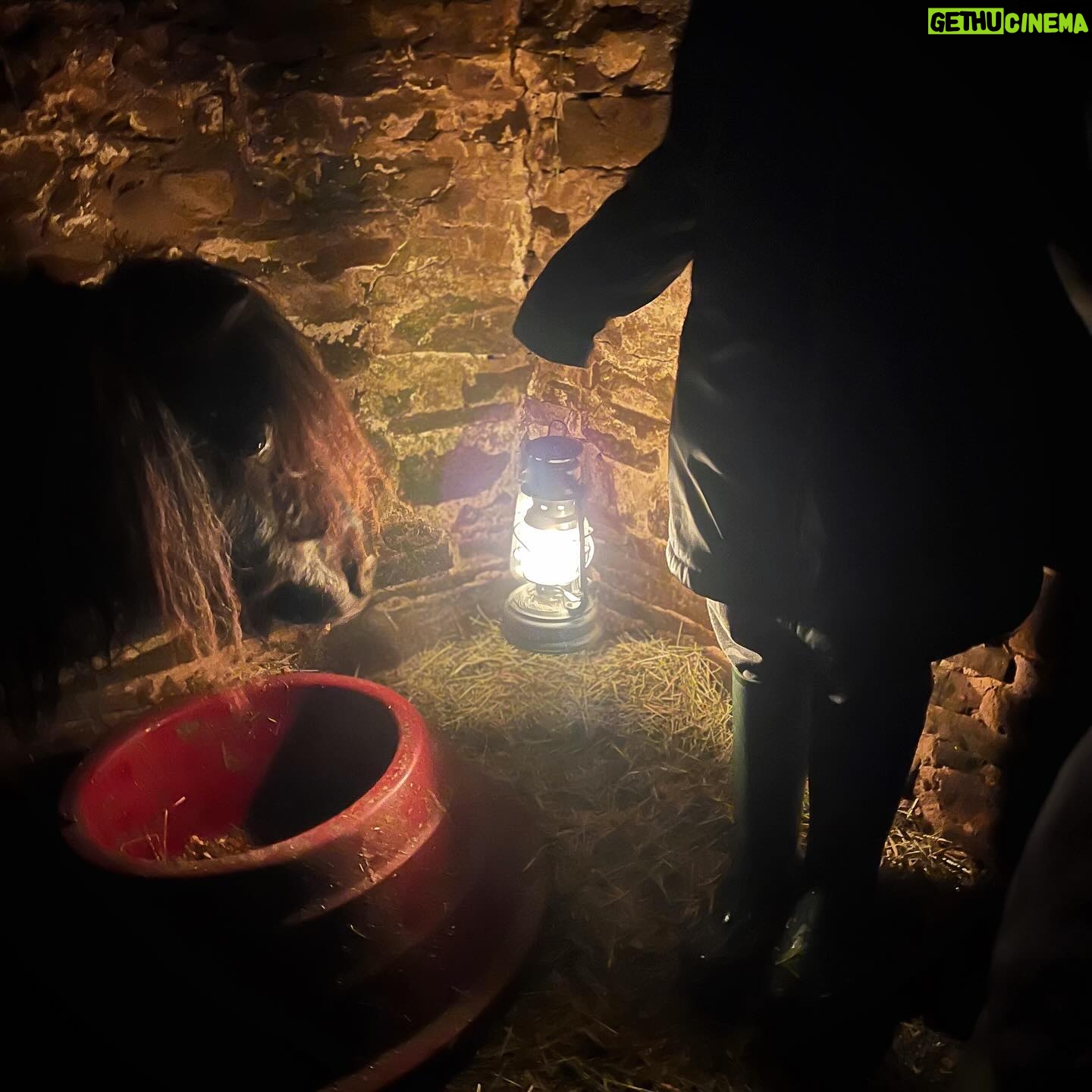 Amanda Owen Instagram - Fair weather βοΈ or foul βοΈ , day π or night π thereβs tasks to do. π΄ π΄ #yorkshire #weather #snow #lantern #day #night #farm #blizzard #horses #animals