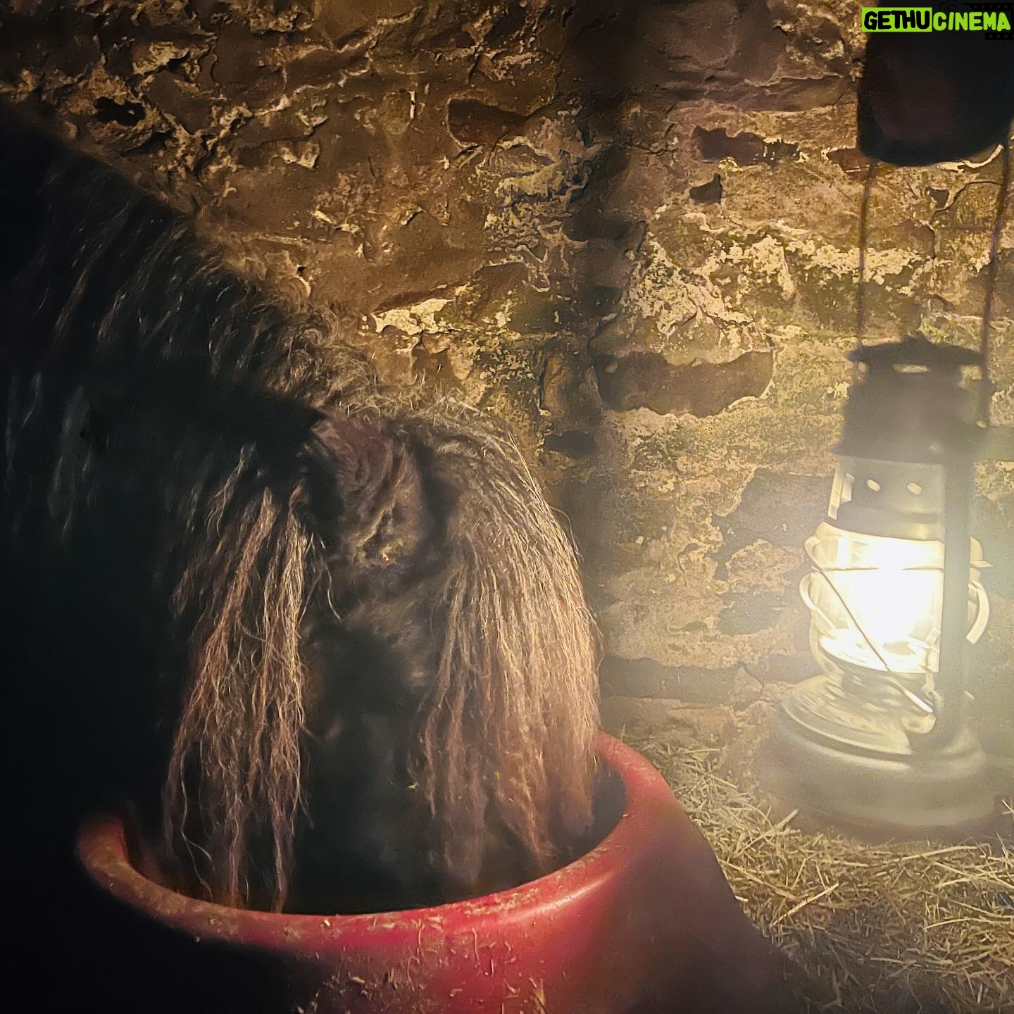 Amanda Owen Instagram - Fair weather βοΈ or foul βοΈ , day π or night π thereβs tasks to do. π΄ π΄ #yorkshire #weather #snow #lantern #day #night #farm #blizzard #horses #animals