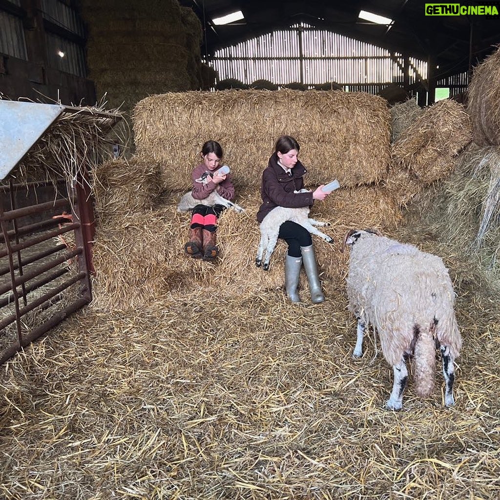 Amanda Owen Instagram - 👭👫Many hands.👭👫 #yorkshire #shepherdess #lambingtime