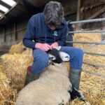 Amanda Owen Instagram - There’s plenty to do whatever the weather ☀️ 🌧️ & there’s never a shortage of willing helpers.👫👭👫👭 All equipped with enthusiasm & smiles. 😊 #yorkshire #shepherdess #outdoors #farm #children #sheep #saletime #autumn
