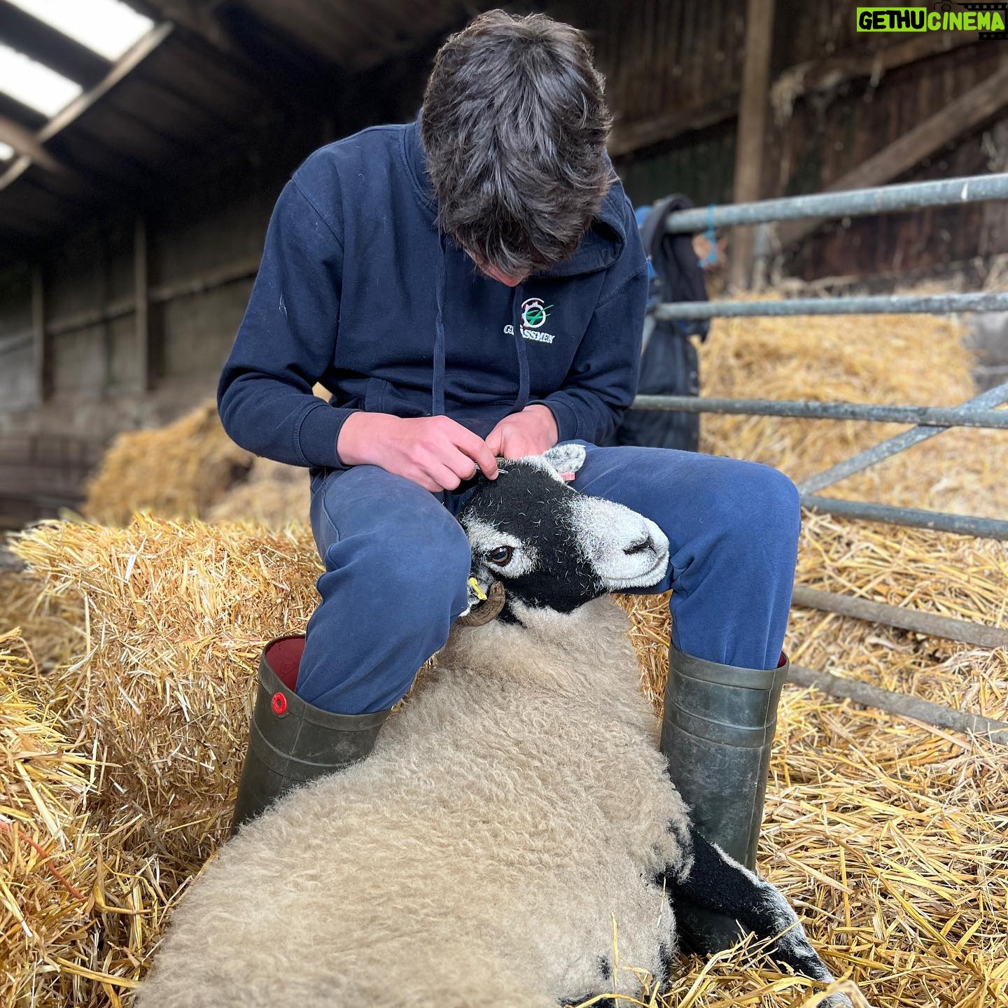 Amanda Owen - 33.4K Likes - Thereβs plenty to do whatever the weather βοΈ π§οΈ & thereβs never a shortage of willing helpers.π«ππ«π
All equipped with enthusiasm & smiles. π
#yorkshire #shepherdess #outdoors #farm #children #sheep #saletime #autumn