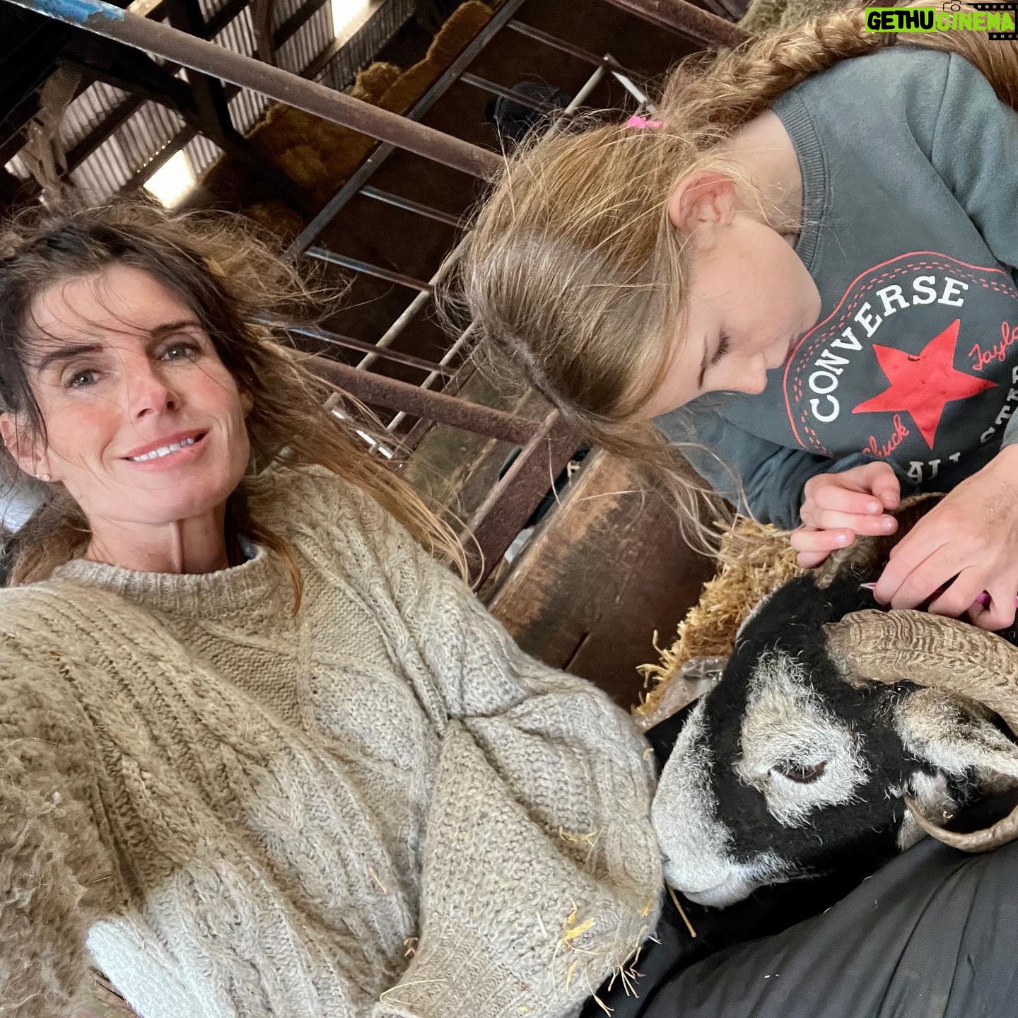 Amanda Owen - 33.4K Likes - Thereβs plenty to do whatever the weather βοΈ π§οΈ & thereβs never a shortage of willing helpers.π«ππ«π
All equipped with enthusiasm & smiles. π
#yorkshire #shepherdess #outdoors #farm #children #sheep #saletime #autumn