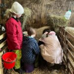 Amanda Owen Instagram – 👭👫Many hands.👭👫
#yorkshire #shepherdess #lambingtime