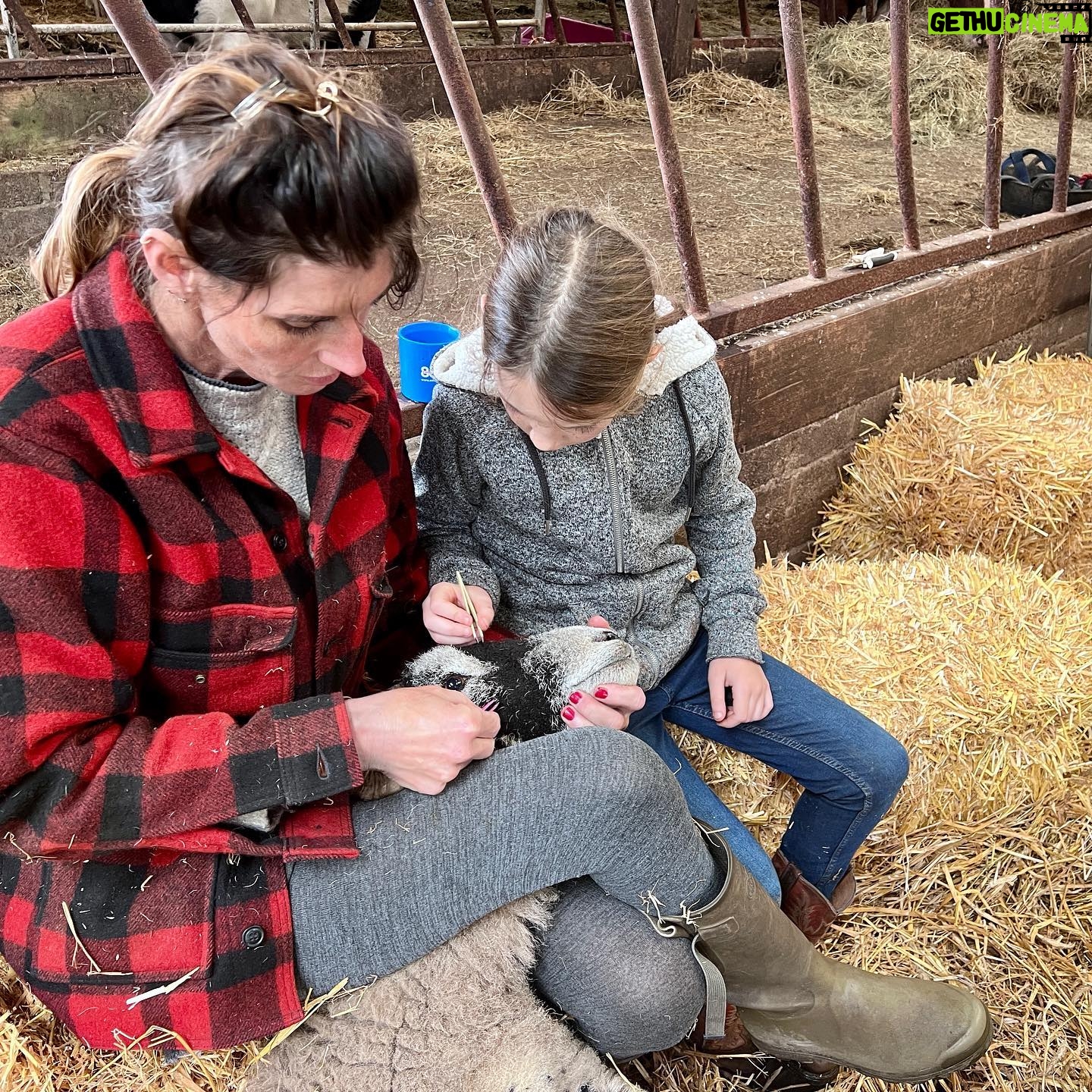 Amanda Owen - 33.4K Likes - Thereβs plenty to do whatever the weather βοΈ π§οΈ & thereβs never a shortage of willing helpers.π«ππ«π
All equipped with enthusiasm & smiles. π
#yorkshire #shepherdess #outdoors #farm #children #sheep #saletime #autumn