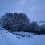 Amanda Owen Instagram - O wind, if Winter comes, can Spring be far behind? ~Percy Bysshe Shelley~ ❄️❄️❄️❄️❄️❄️❄️❄️❄️ #yorkshire #snow #winter #spring #countryside #outdoors #poem #poetry