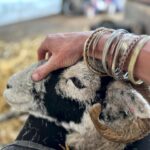 Amanda Owen Instagram - There’s plenty to do whatever the weather ☀️ 🌧️ & there’s never a shortage of willing helpers.👫👭👫👭 All equipped with enthusiasm & smiles. 😊 #yorkshire #shepherdess #outdoors #farm #children #sheep #saletime #autumn