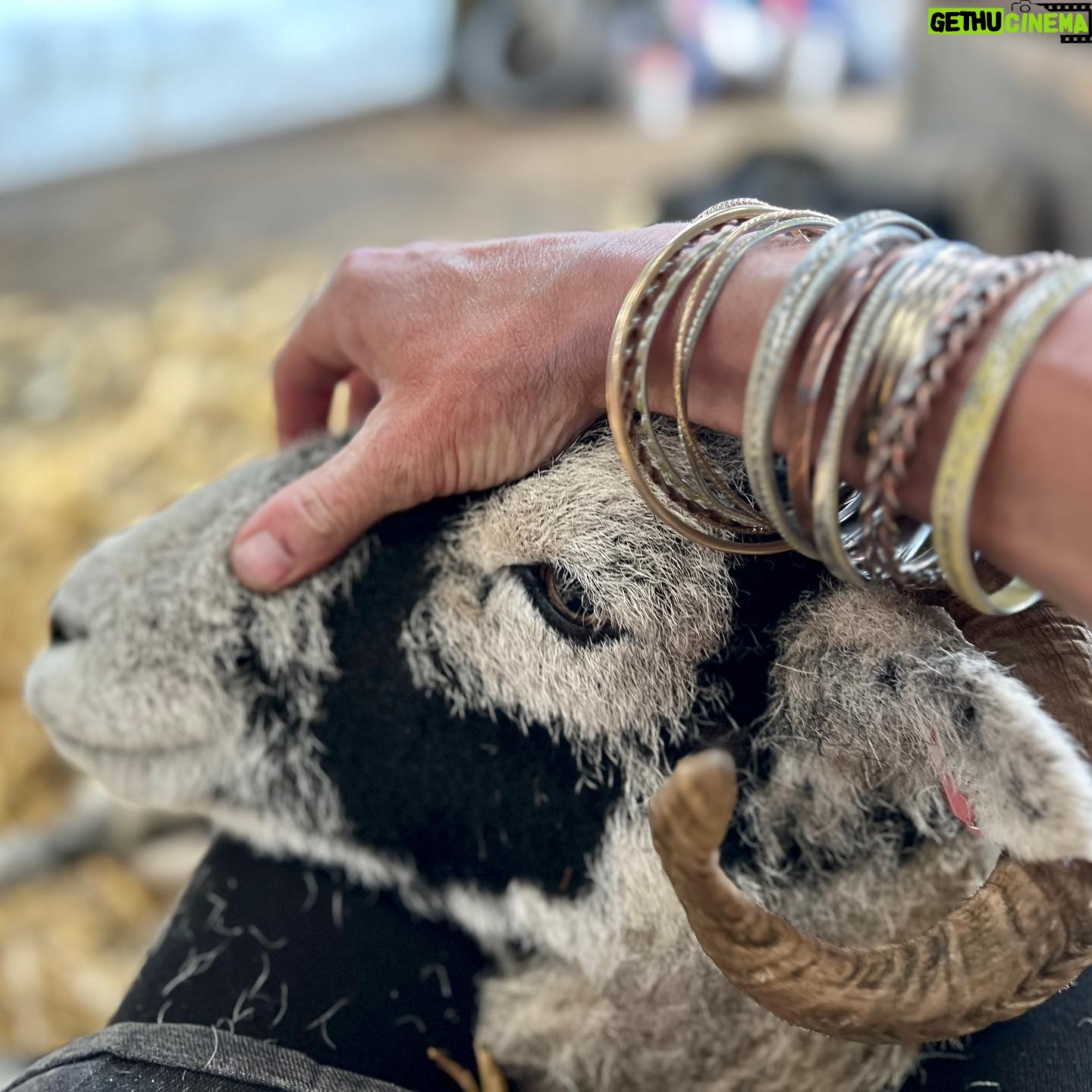 Amanda Owen - 33.4K Likes - Thereβs plenty to do whatever the weather βοΈ π§οΈ & thereβs never a shortage of willing helpers.π«ππ«π
All equipped with enthusiasm & smiles. π
#yorkshire #shepherdess #outdoors #farm #children #sheep #saletime #autumn