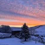 Amanda Owen Instagram - O wind, if Winter comes, can Spring be far behind? ~Percy Bysshe Shelley~ ❄️❄️❄️❄️❄️❄️❄️❄️❄️ #yorkshire #snow #winter #spring #countryside #outdoors #poem #poetry