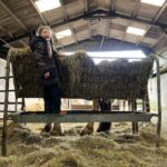 Amanda Owen Instagram - Haytime playtime. 🐴 🌾 #hay #horses #heavyhorses #feedingtime #yorkshire #shepherdess #farm
