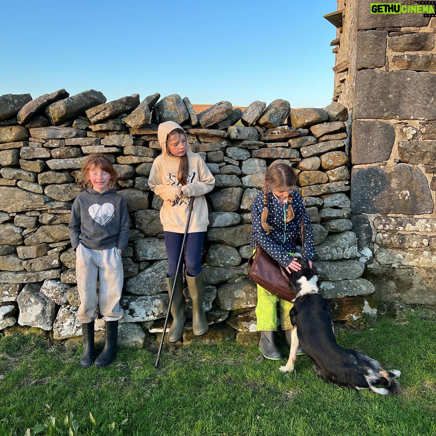 Amanda Owen - 21.2K Likes - Trials and tribulations.
ππππππππππππππ
#yorkshire #shepherdess