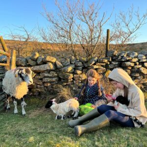 Amanda Owen Instagram - Trials and tribulations.
🐑🐑🐑🐑🐑🐑🐑🐑🐑🐑🐑🐑🐑🐑
#yorkshire #shepherdess
