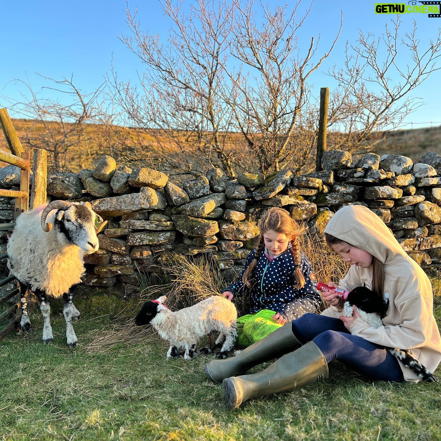 Amanda Owen - 21.2K Likes - Trials and tribulations.
ππππππππππππππ
#yorkshire #shepherdess
