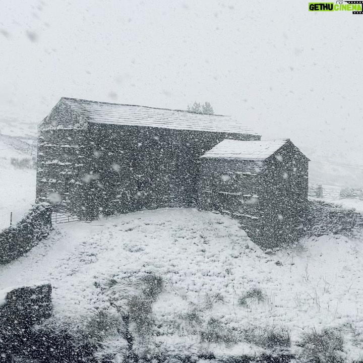 Amanda Owen - 20.7K Likes - Through the arched window πͺ we haveβ¦.the possibility of no school bus ( they hope.) π βοΈ βοΈ βοΈ
#yorkshire #snowing #wintery