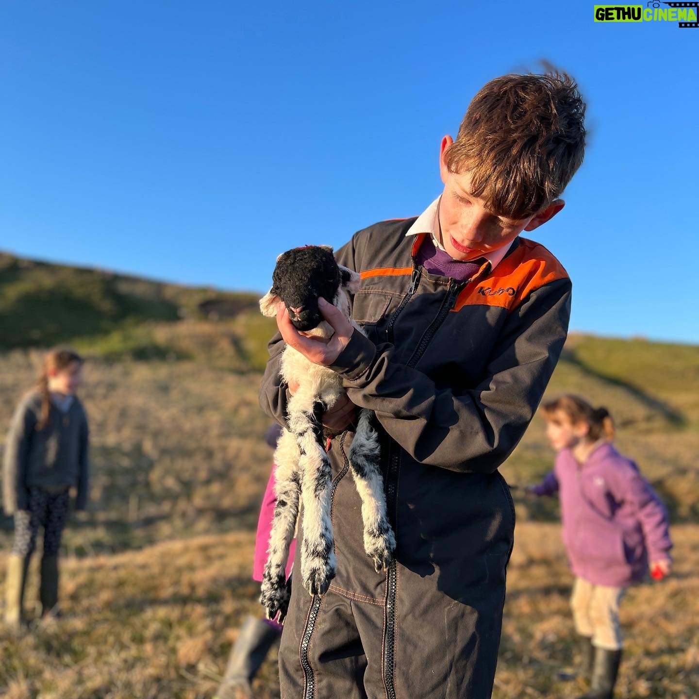Amanda Owen - 21.2K Likes - Trials and tribulations.
ππππππππππππππ
#yorkshire #shepherdess