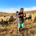 Amanda Owen Instagram - Windy and wild on the tops today 💨