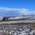 Amanda Owen Instagram - Ah, the sheep are all fine and dandy today and far happier with a sprinkling of snow than yesterdays deluge. One or two are possibly rather cleaner after their unscheduled soaking. 🌊❄️❄️🐑🐑 Thank you for lending us the tracked dumper 🚜 @reubenowen74 ❤️ #yorkshire #shepherdess #snow #sheep #hay #fodder