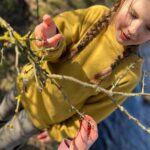 Amanda Owen Instagram - Budding naturalists, botanists, ecologists, ornithologists, hydrologists, geologists. And farmers. 👩‍🌾 🌱🌳☘️🪹🪺🦔🌾🌸🌼🦅🐦🐝🕷️🐞 #yorkshire #countryside #outdoors #nature #farm #learning