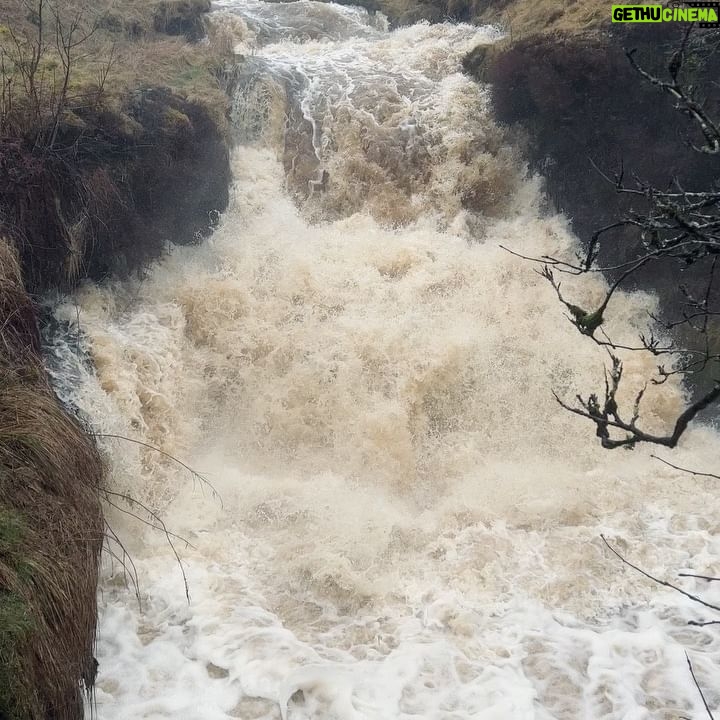 Amanda Owen - 21.9K Likes - Yesterday was horrendous.
Sleet & snow thawing made for serious flooding & dangerous situations whilst trying to fodder the sheep.They stayed on low lying ground as gale force winds blew on tops but this was scary.
You do your best but we were lucky that there were no casualties.
#yorkshire #shepherdess #farm #flood #thaw #weather