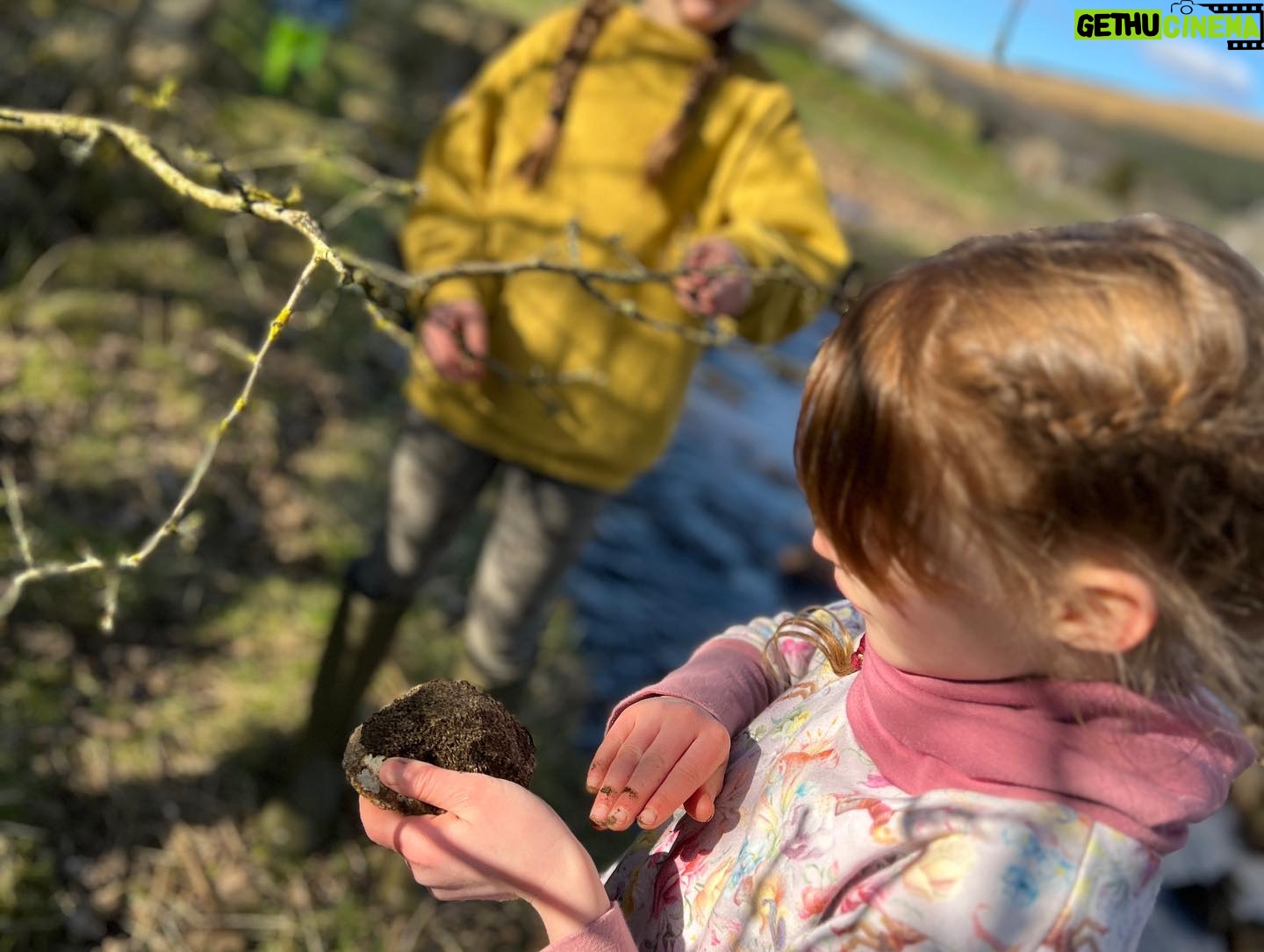 Amanda Owen Instagram - Budding naturalists, botanists, ecologists, ornithologists, hydrologists, geologists. And farmers. π©βπΎ π±π³βοΈπͺΉπͺΊπ¦πΎπΈπΌπ¦
π¦ππ·οΈπ #yorkshire #countryside #outdoors #nature #farm #learning