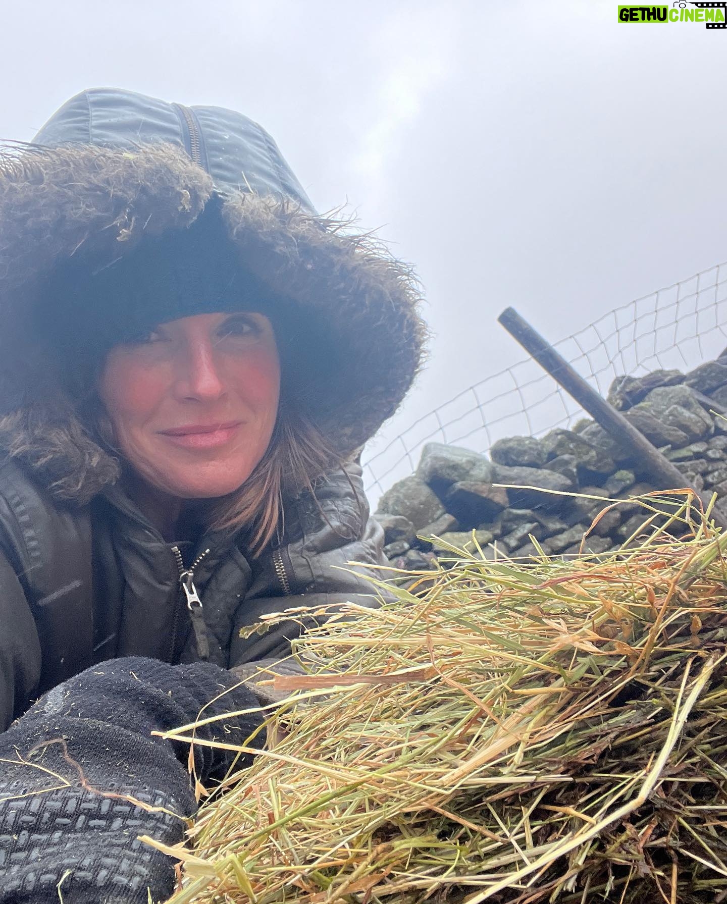 Amanda Owen - 21.9K Likes - Yesterday was horrendous.
Sleet & snow thawing made for serious flooding & dangerous situations whilst trying to fodder the sheep.They stayed on low lying ground as gale force winds blew on tops but this was scary.
You do your best but we were lucky that there were no casualties.
#yorkshire #shepherdess #farm #flood #thaw #weather