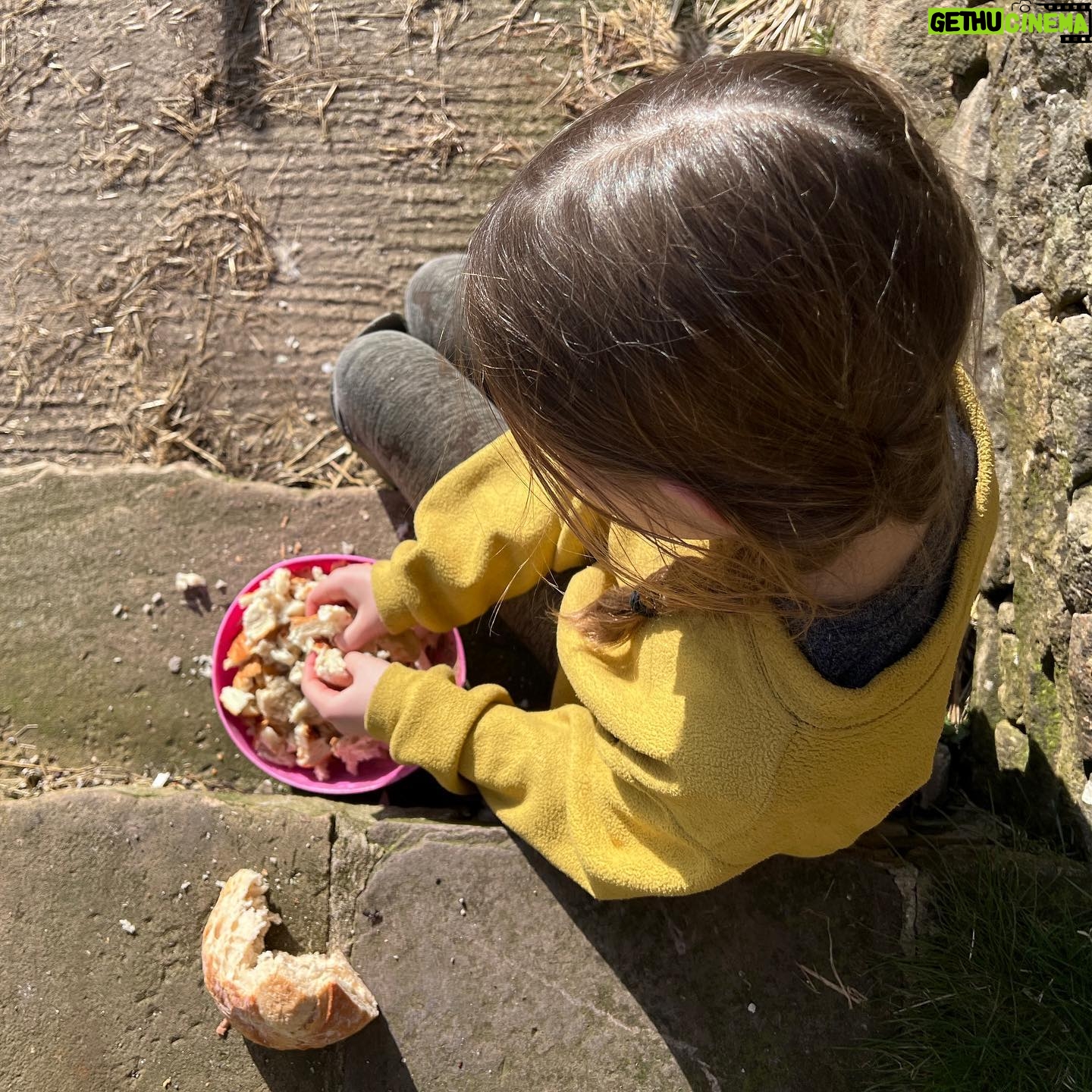 Amanda Owen Instagram - Crumbs !🍞 It is lovely that the clocks ⏰ have changed and now lighter later. ☀️ It’s great to be outside after school. #yorkshire #shepherdess #outside #chickens