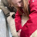 Amanda Owen Instagram - Out on the rounds & apprehending a yow with an issue. Fortunately a small prolapse is easy enough to sort out and my team like being hands-on. 🙌 🐑 Waiting for the wee that she absolutely couldn’t do until things were put back from whence they came. 🐑 That must feel a lot better. #yorkshire #shepherdesses #outdoors