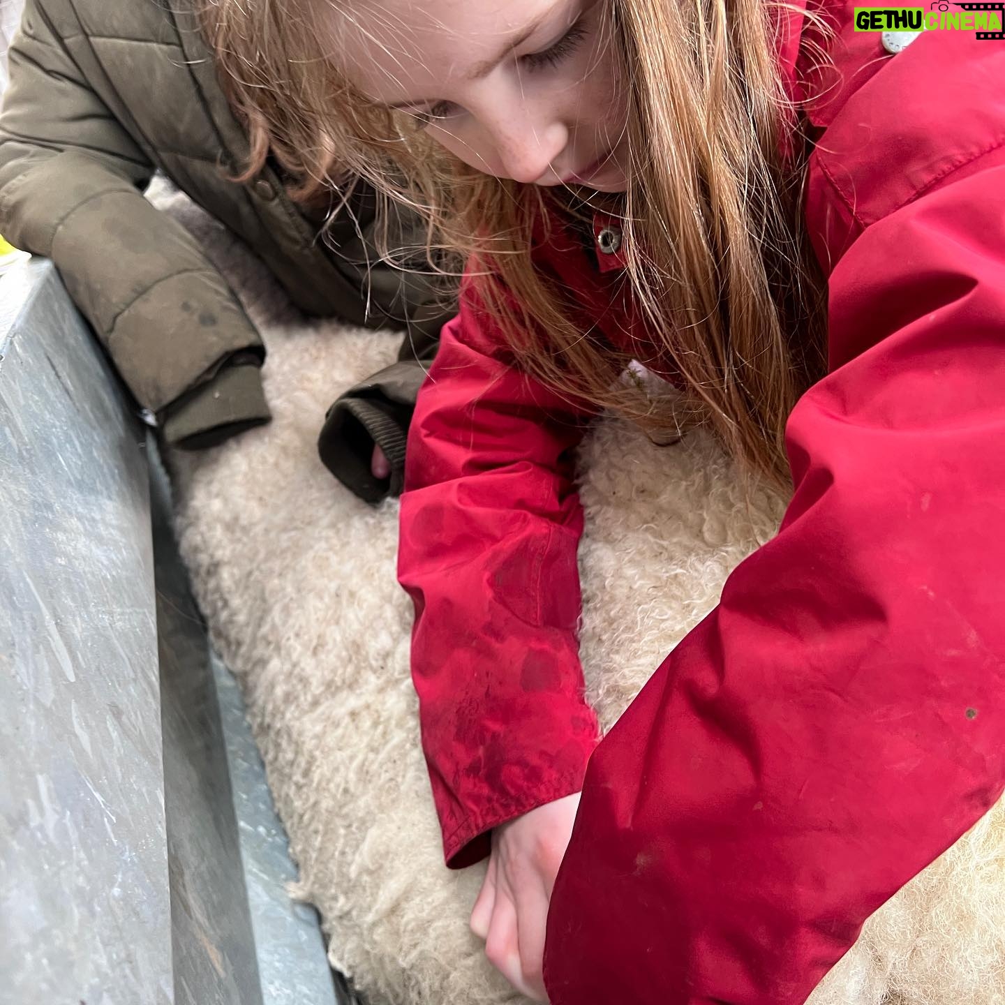 Amanda Owen Instagram - Out on the rounds & apprehending a yow with an issue. Fortunately a small prolapse is easy enough to sort out and my team like being hands-on. 🙌 🐑 Waiting for the wee that she absolutely couldn’t do until things were put back from whence they came. 🐑 That must feel a lot better. #yorkshire #shepherdesses #outdoors