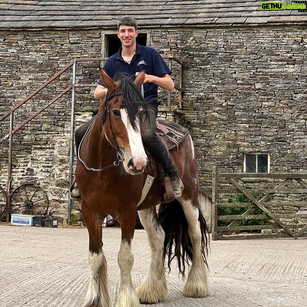 Amanda Owen - 27K Likes - Thereβs horsepower @reubenowen74 @tommy.mcwhirter π
And thereβs horsepower. π΄
Mine doesnβt have a fuel vaporisation issue. π
#heavyhorse #tractor