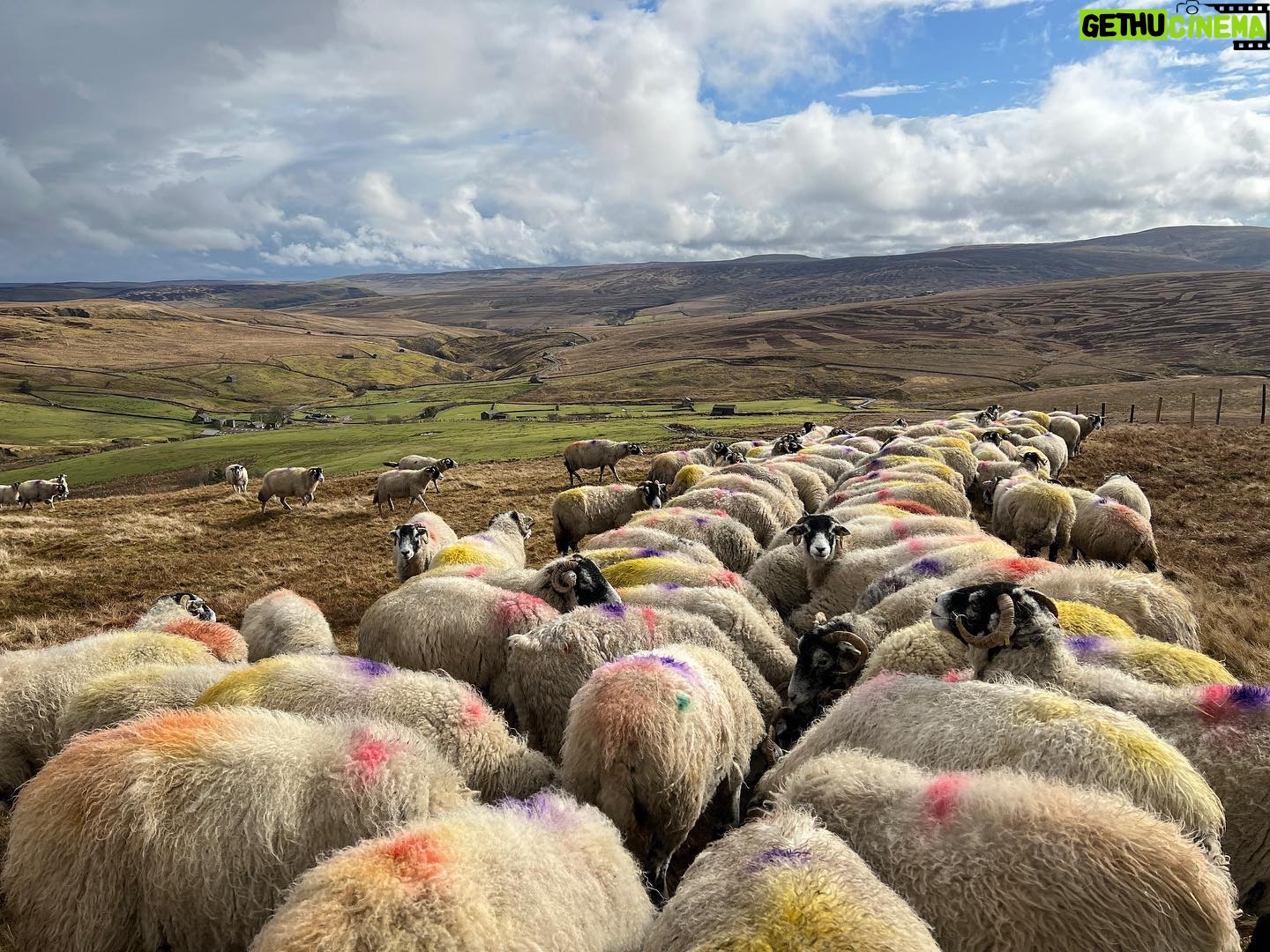 Amanda Owen Instagram - What a changeable week weather wise, bright sunshine, gale force winds and torrential rain. Need some calm but instead there’s a snow forecast. ❄️😕 #yorkshire #shepherdess #weather #countryside #outdoors #spring
