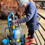 Amanda Owen Instagram - Buttercup 🐄 the house cow getting a massage from Maple🐴 whilst getting milked 🥛then back her her calf Pansy 🐄. #cow #horse #selfsufficiency