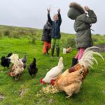 Amanda Owen Instagram - A hen party 🐔🎉 Hatching a plan. 🐔 🐣 Popcorn chicken. 🐔🍿 #chicken #hens #henparty