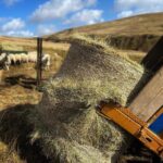 Amanda Owen Instagram - What a changeable week weather wise, bright sunshine, gale force winds and torrential rain. Need some calm but instead there’s a snow forecast. ❄️😕 #yorkshire #shepherdess #weather #countryside #outdoors #spring