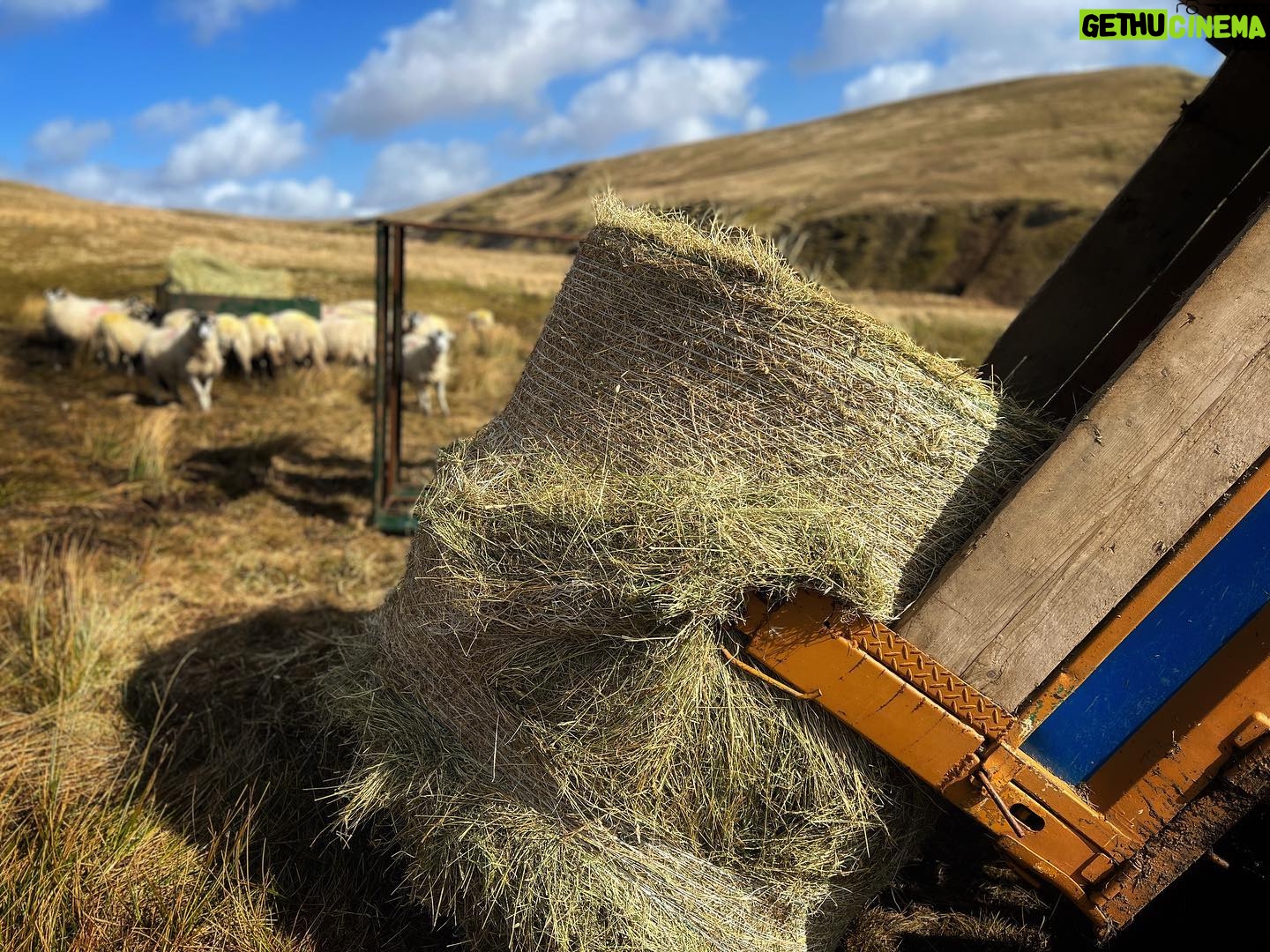 Amanda Owen Instagram - What a changeable week weather wise, bright sunshine, gale force winds and torrential rain. Need some calm but instead there’s a snow forecast. ❄️😕 #yorkshire #shepherdess #weather #countryside #outdoors #spring