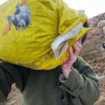 Amanda Owen Instagram - What a changeable week weather wise, bright sunshine, gale force winds and torrential rain. Need some calm but instead there’s a snow forecast. ❄️😕 #yorkshire #shepherdess #weather #countryside #outdoors #spring