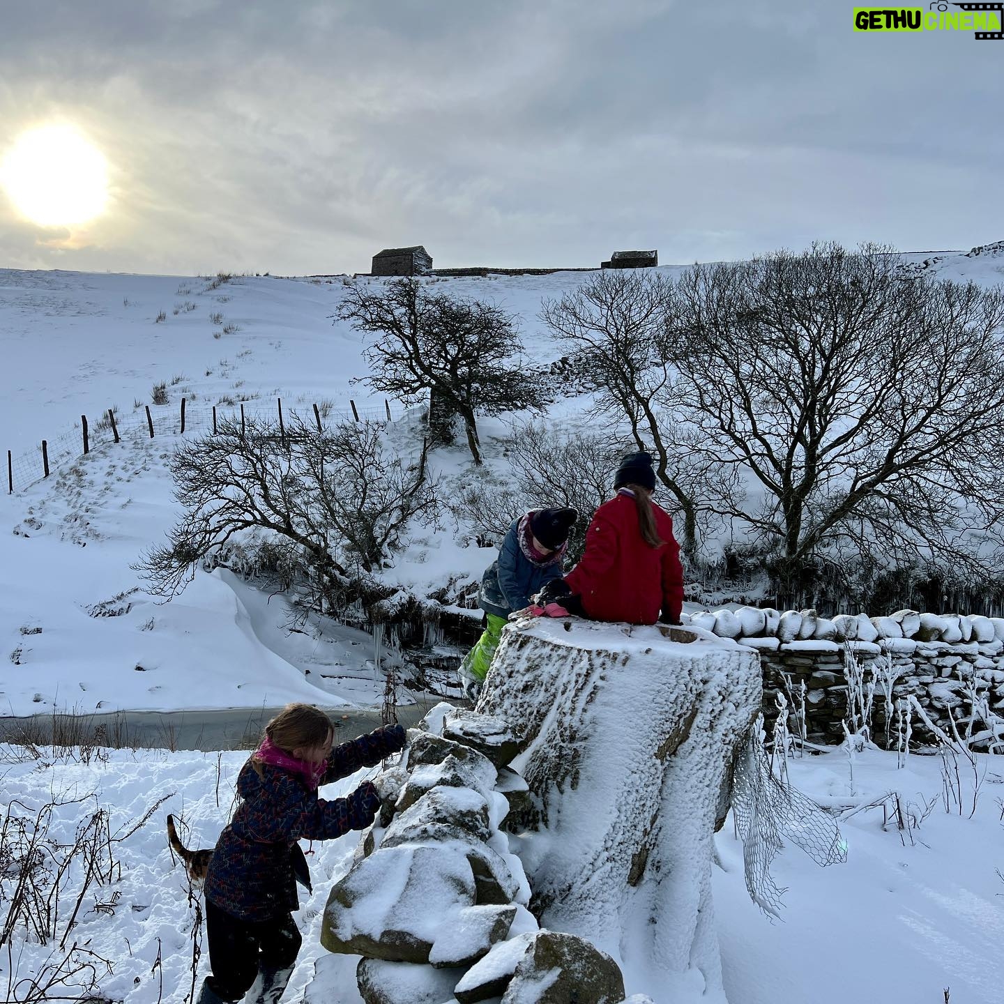 Amanda Owen Instagram - Wintery scenes in Yorkshire. 🥶 A soothing stillness and very quiet. 🤫 #yorkshire #swaledale #snow #ice #outdoors #frozen